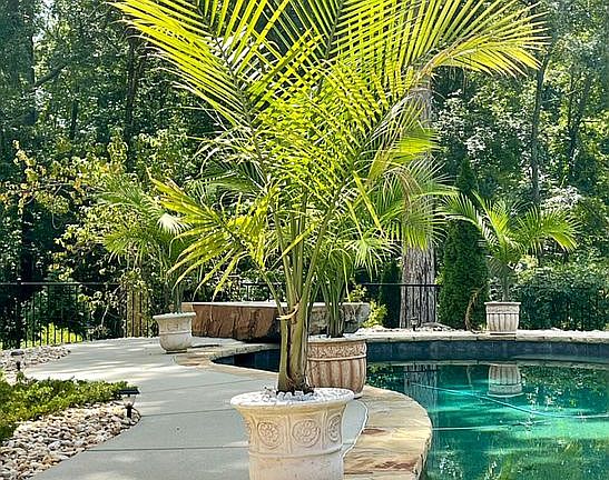 Saltwater pool