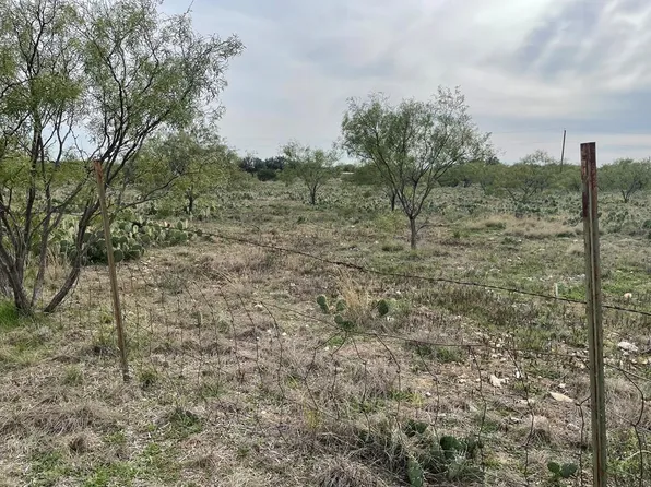 298 County Road 414, Eldorado, TX 76936
