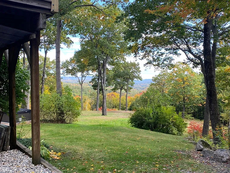 View from Driveway into Back Yard, 3+ acre property