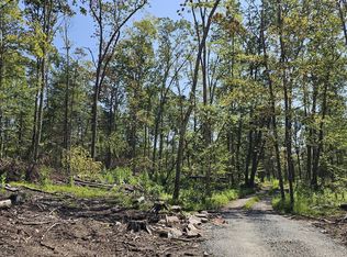 LOT 8.1 Eckes Rd, Narrowsburg, NY 12764