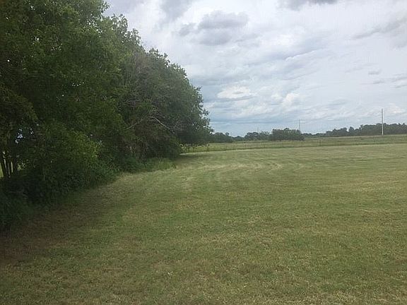 small trees along the north