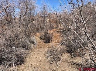 249 & 261 Jennifer Place, Pagosa Springs, CO 81147