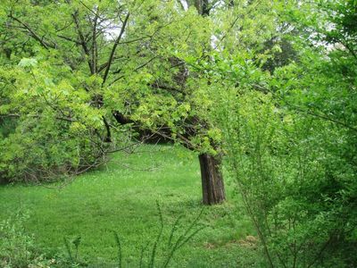 Ide Rd, Williamstown, MA, 01267