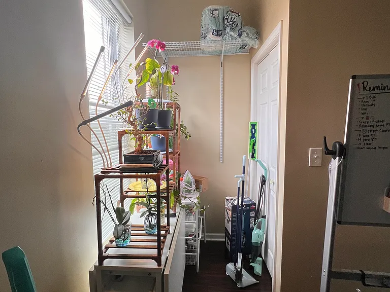 211 S Campbell Ave #2 — Photo 9