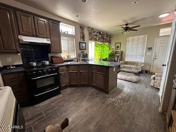 1098 E HORSESHOE SPRINGS Road, Globe, AZ 85501