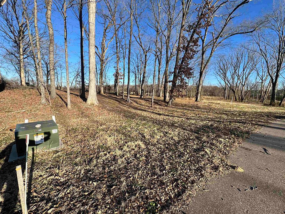 2nd image of 85 Crown Vista Ln #10