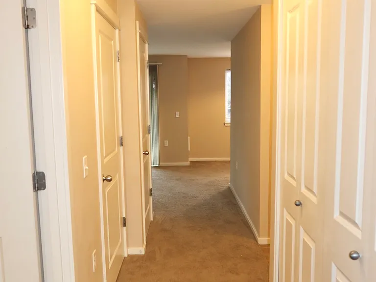 Vineyard Apartments — Photo 7