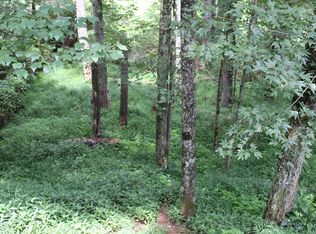 0 Bingham Rd, Bryson City, NC 28713