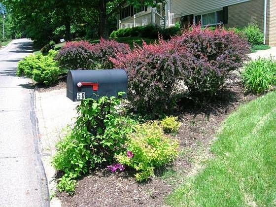 1st image of 50 Woodland Park Dr