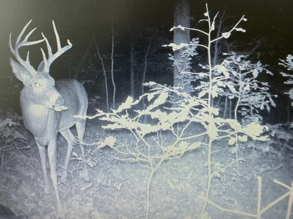 Beech Hollow Rd Lot Wp001, Harrisburg, IL 62946