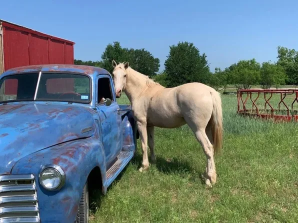 1201 Fm 701, Graham, TX 76450