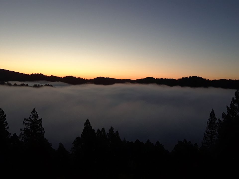 Morning view