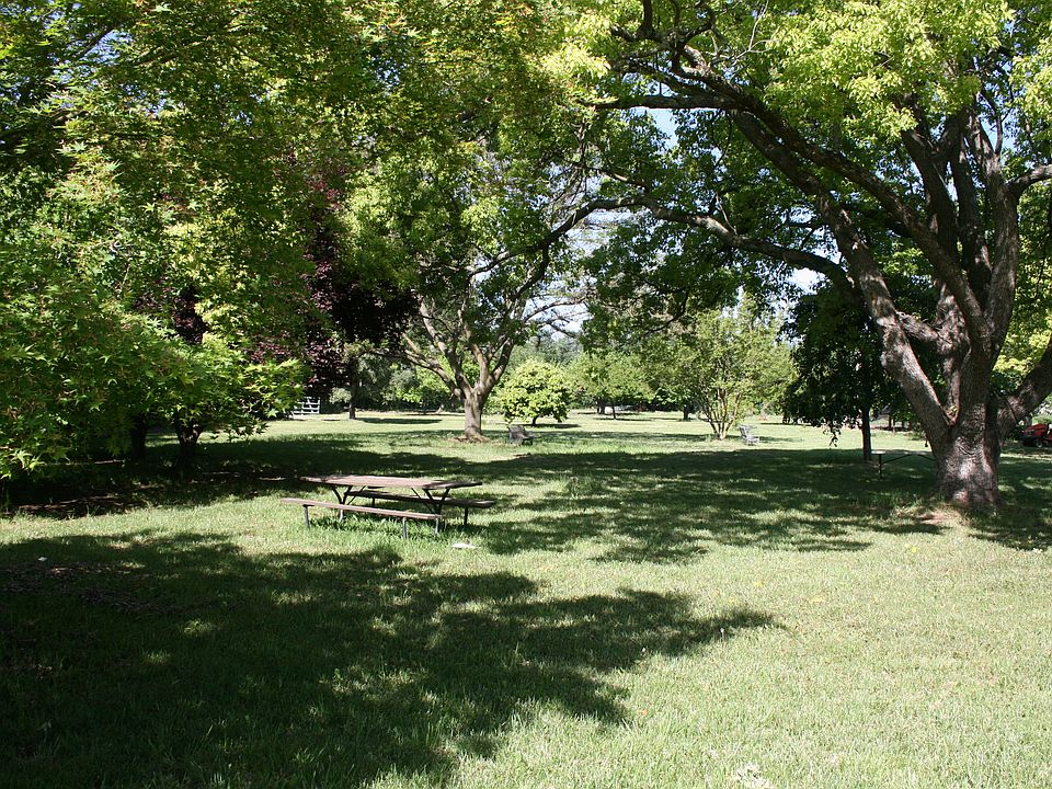 The front yard