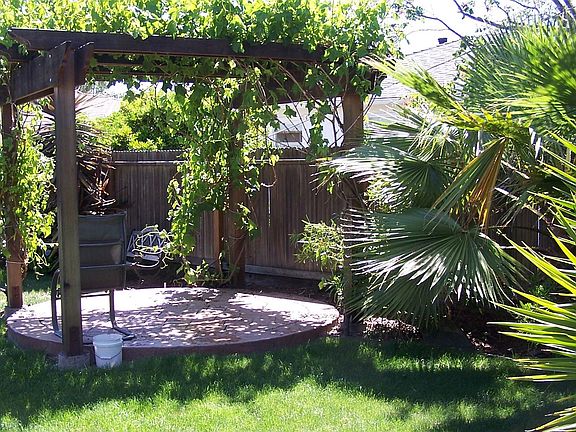 Grape Arbor
