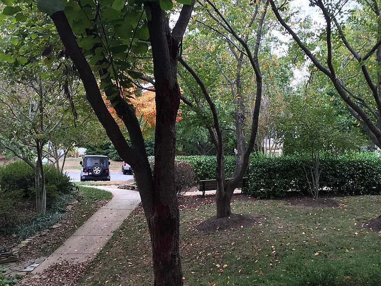 11402 Gate Hill Pl #E — Photo 18