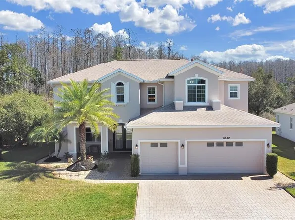 8542 EAGLE BROOK DRIVE, LAND O LAKES, FL 34638