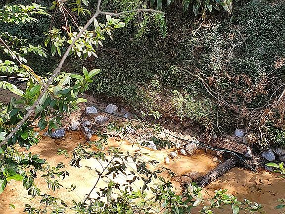 The Red Gulley