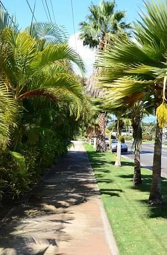 Walk 2 blocks to cove park