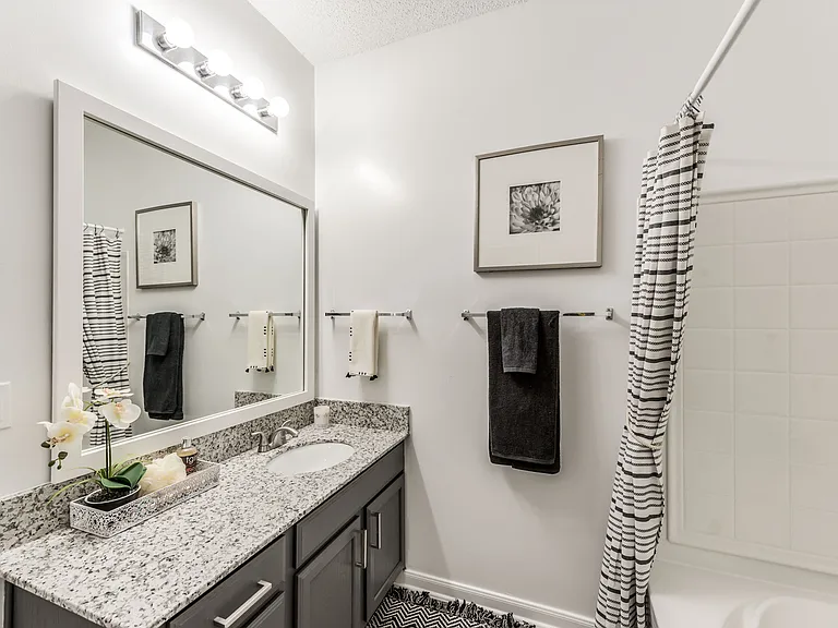 2BD, 2BA - 1150SF - Primary Bathroom
