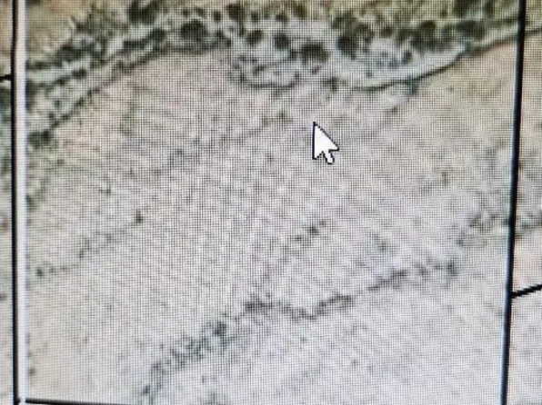 5545 Alamo Mine Trl, Las Cruces, NM 88011