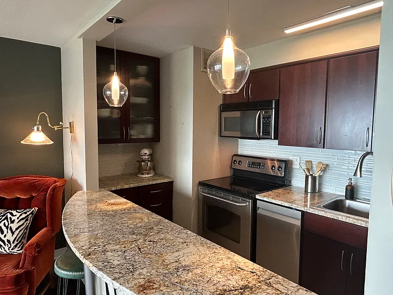 3100 N Lake Shore Dr #1212 — Photo 9