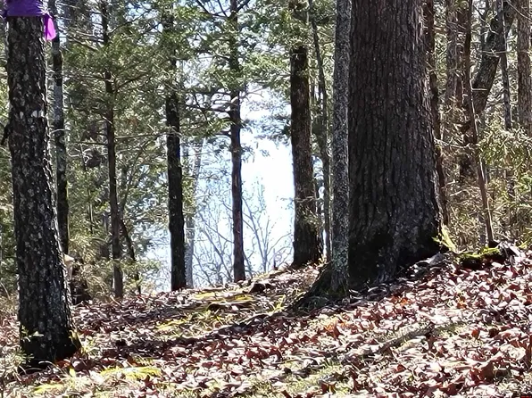 779 Mc #8063, Flippin, AR 72634