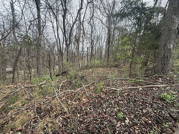 3rd image of 1915 Appomattox Dr
