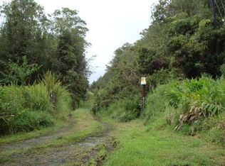 18 2003rd #1004, Volcano, HI 96785