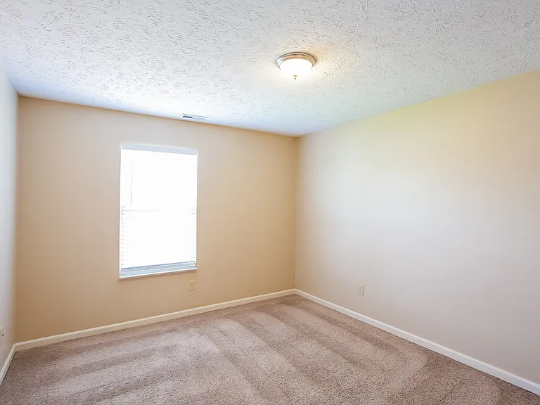 2962 Limber Pine Dr — Photo 13