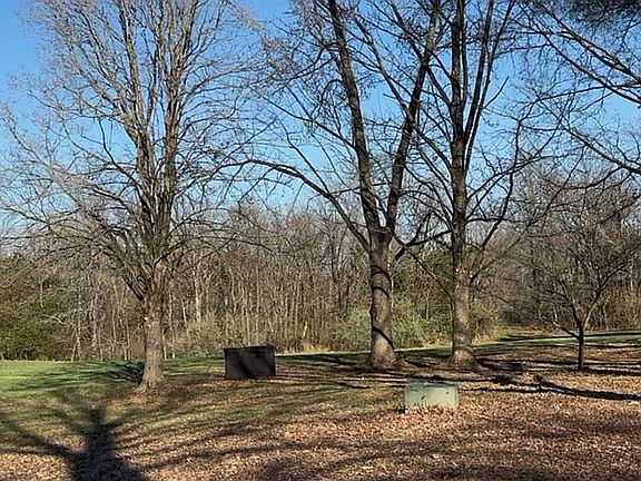 Rear Pasture & East Woods 