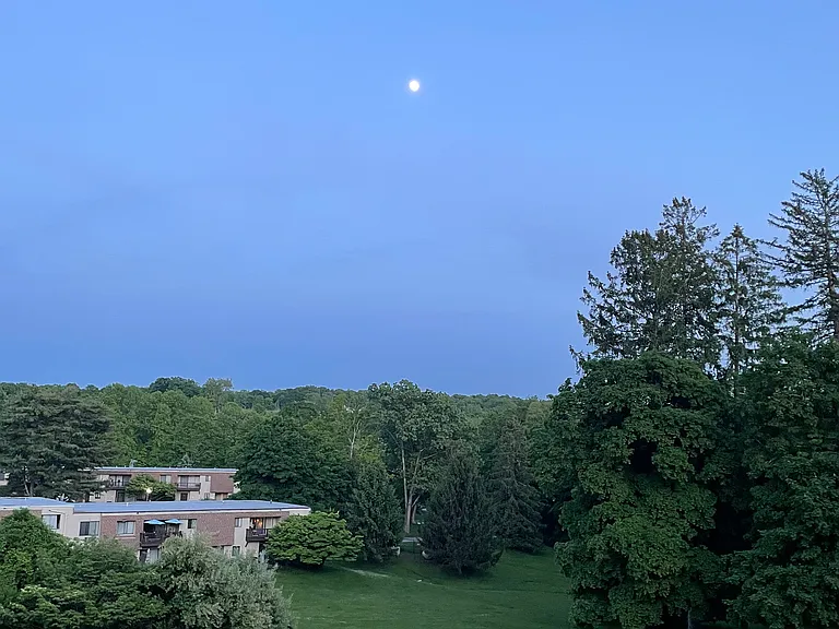 316 Vista On The Lk — Photo 17