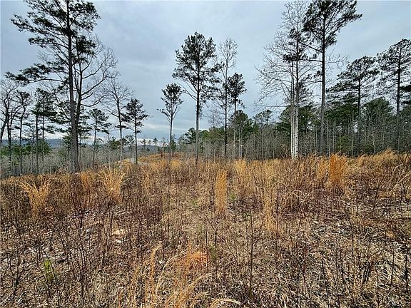 5th image of 347 Timbercreek Trl