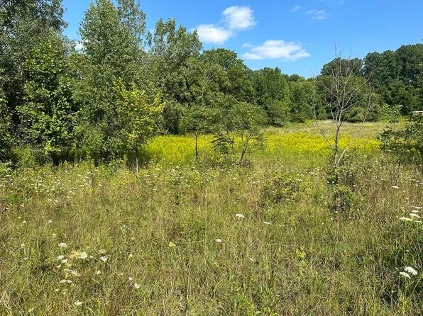 18800 Calvin Hill St, Cassopolis, MI 49031