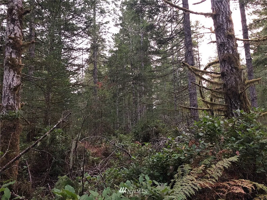 0 E Enchantment Drive photo 1