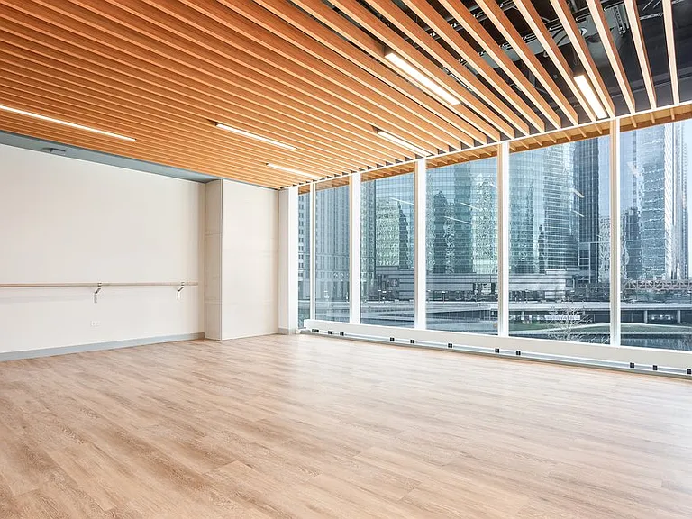 322 N Orleans St #1808 — Photo 14