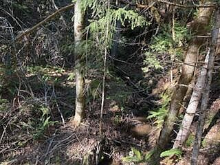 1st image of 0 French Peak Rd #405