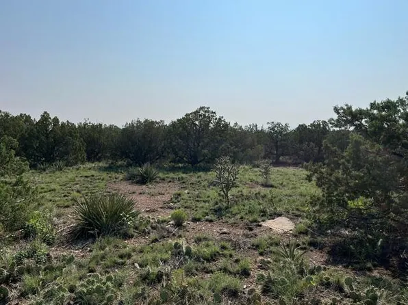 24 Barbara Ln, Edgewood, NM 87015