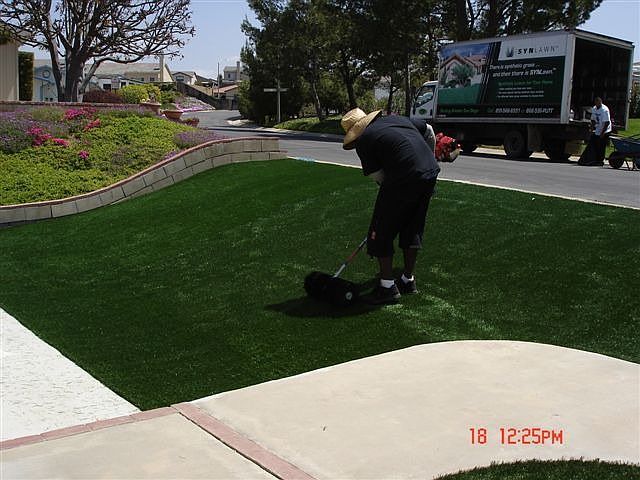 Synlawn professional installed Spring '07