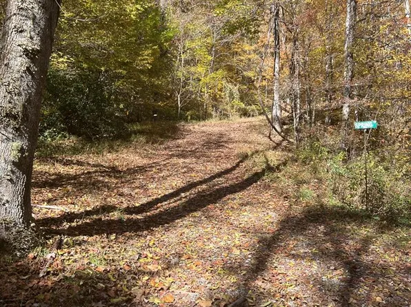 41 High Springs Rd, Bryson City, NC 28713