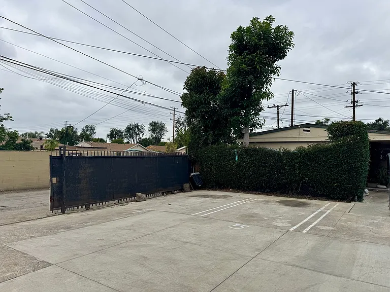 Lambert — Photo 8