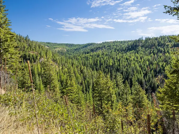 Nhn McGinnis Meadows Bayhorse Road Section #7, Libby, MT 59923