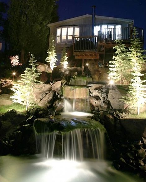 backyard : in water lighting and tree lighting