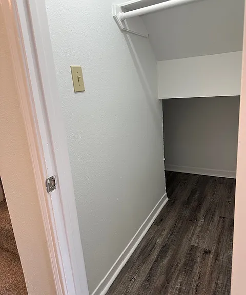 Huge storage closet downstairs