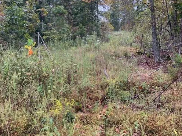 32 Madison St #410, Fredericktown, MO 63645