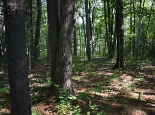 Hale Rd LOT WP004, Peshtigo, WI 54157