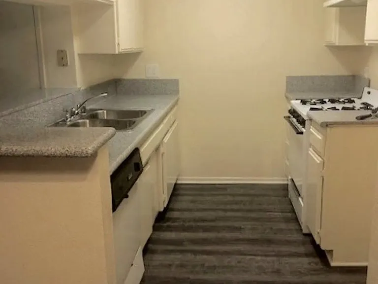 Palm Terrace — Photo 16