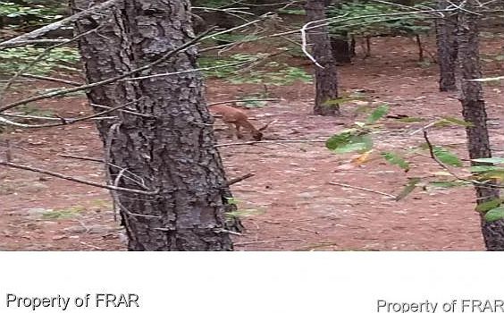 2nd image of 1498 Raynor McLamb Rd