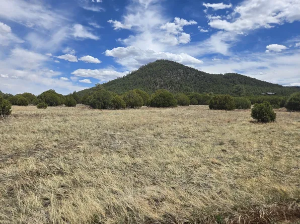 County Road 3144, Pinetop, AZ 85935