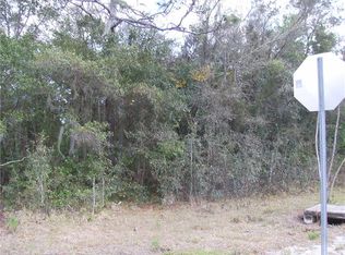 1164 Godfrey Ave, Spring Hill, FL 34609