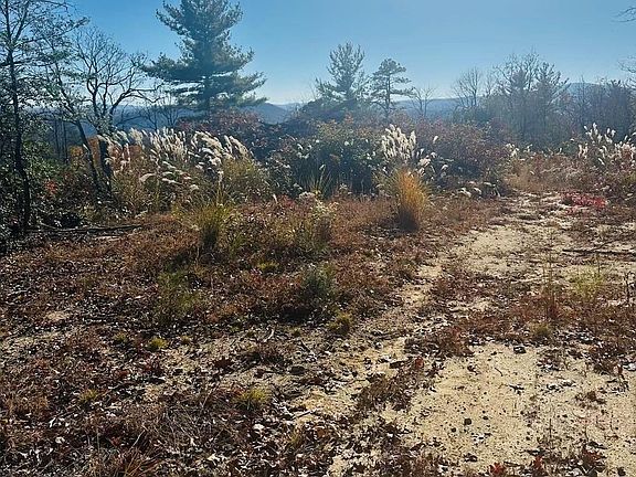 4th image of 9999 Bulling Creek Rd